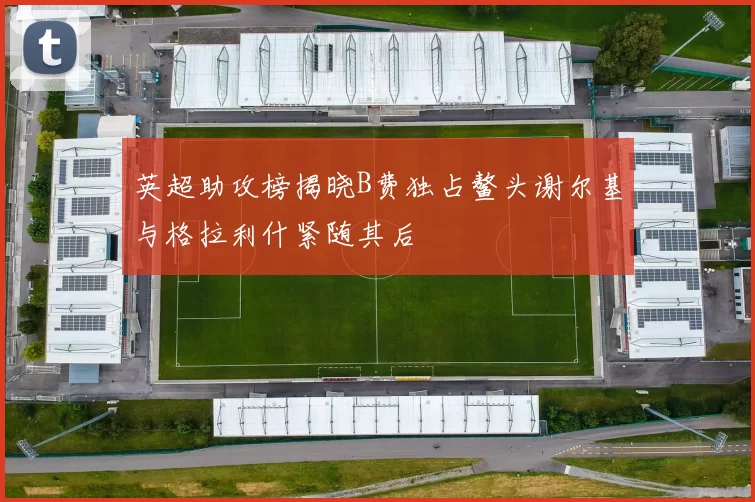 英超助攻榜揭晓B费独占鳌头谢尔基与格拉利什紧随其后